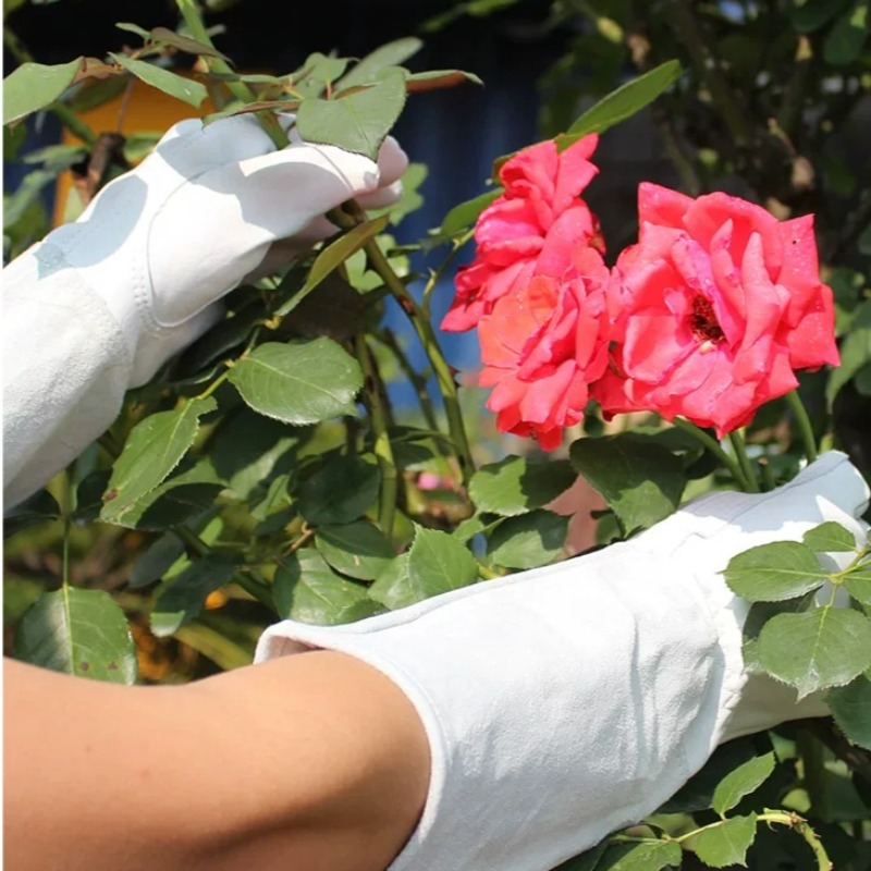 Ein Paar Gartenhandschuhe, dor – Gardening Glove Waterproof Bewertung und Preis